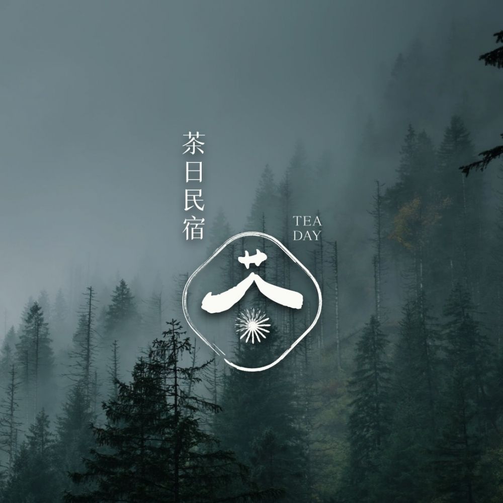 霧中杉林上的白色茶日民宿 Logo 與 TEA DAY 字樣