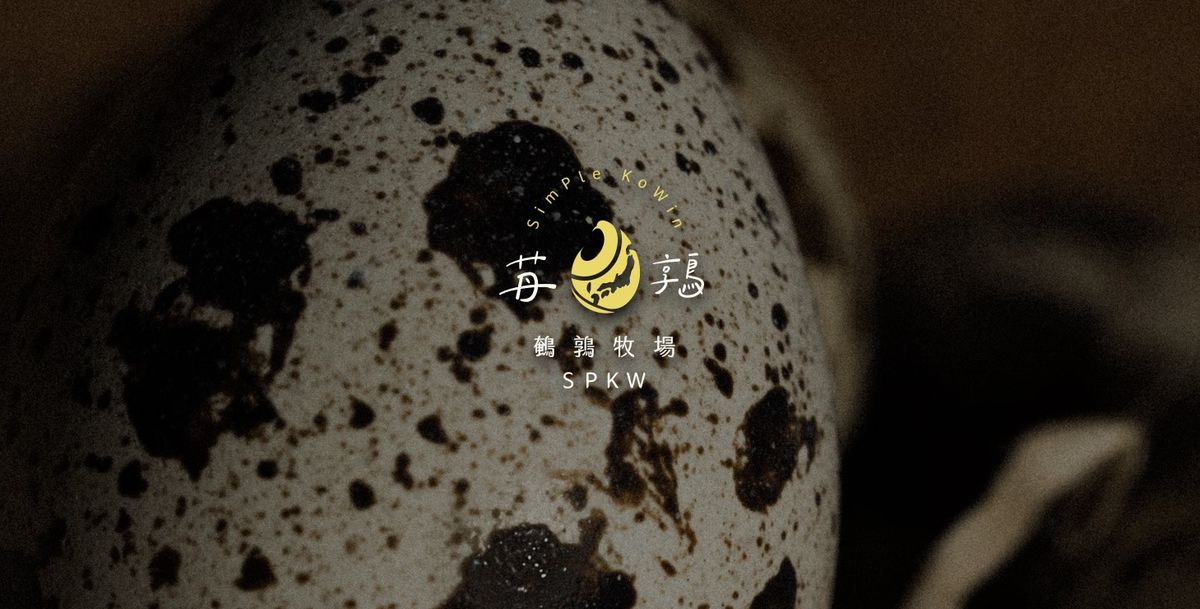 鵪鶉蛋斑紋特寫上的黃色䒟鶉標誌