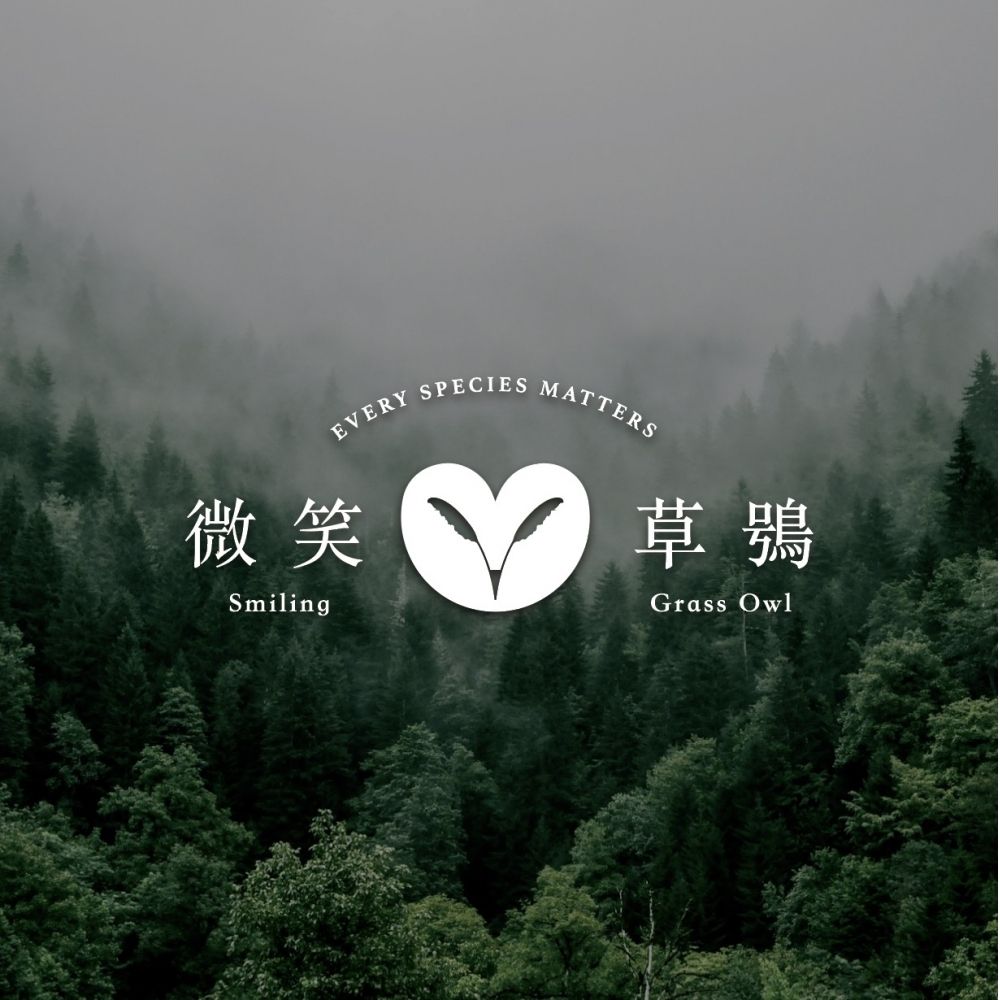 霧中森林照片上疊著白色的微笑草鴞標誌與字標