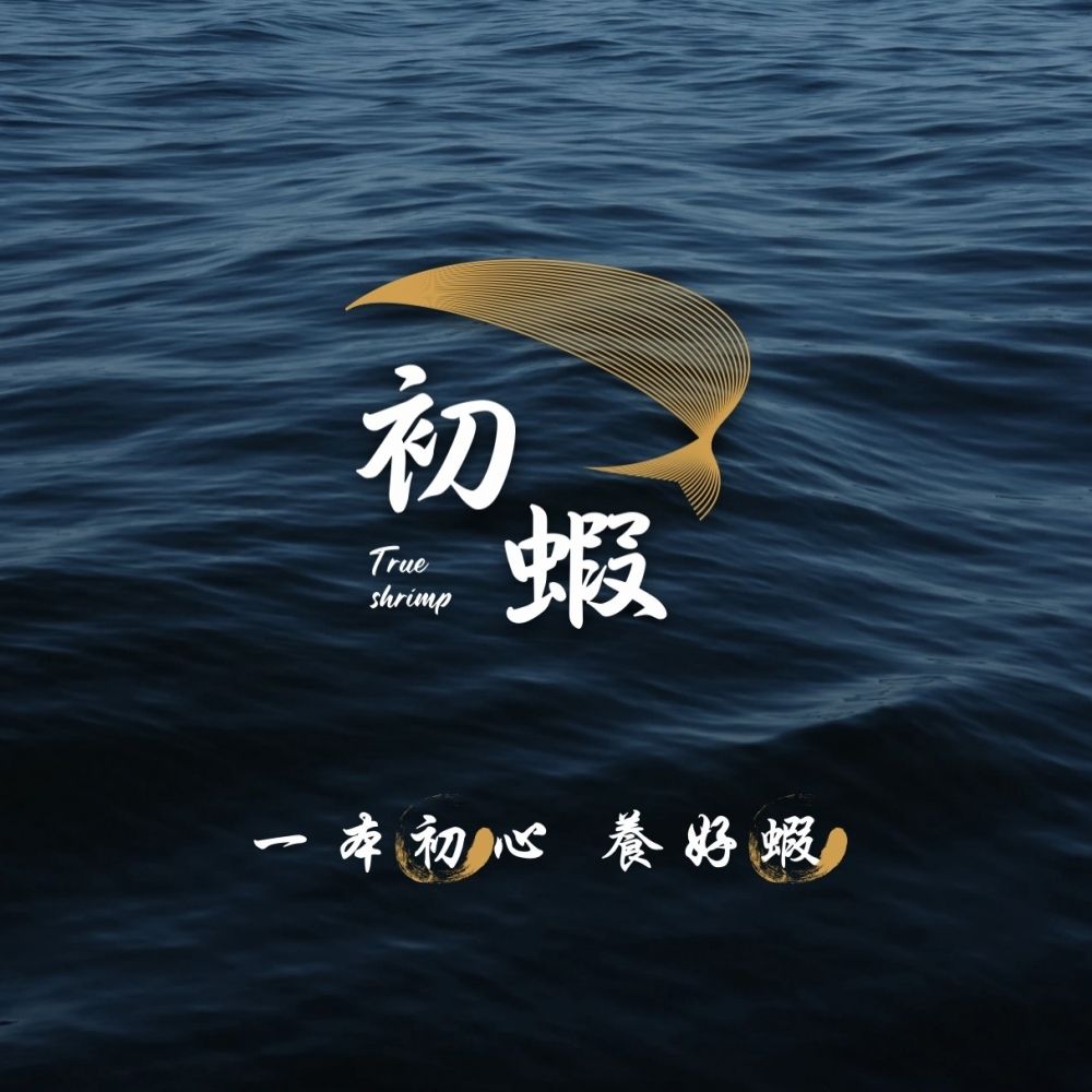 初蝦的海面主視覺