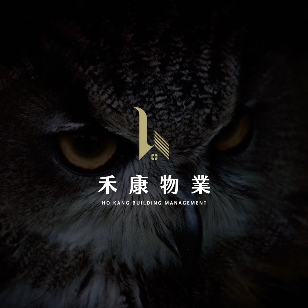 黑暗中的貓頭鷹臉部特寫，畫面中央是金色禾康物業 logo